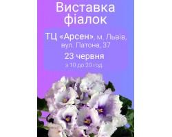 Выставка фиалок во Львове 23 июня 2019р.